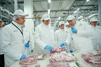 Развивать экспорт