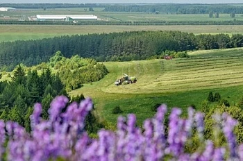 Органическое сельское хозяйство – зачем оно нужно и чем отличается