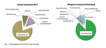 Закваски: сухие или живые?