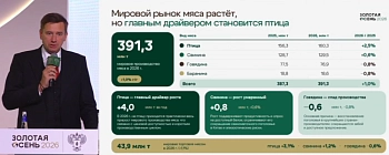 Экономика должна быть экономной, но не в ущерб производству