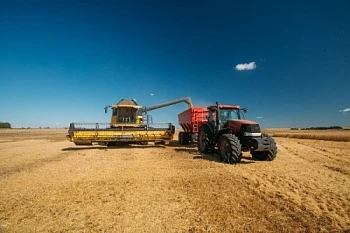«АГРОТЕРРА» УБРАЛА ОЗИМУЮ ПШЕНИЦУ ЗА 7 ДНЕЙ