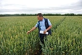 Свои семена – уверенность в качестве
