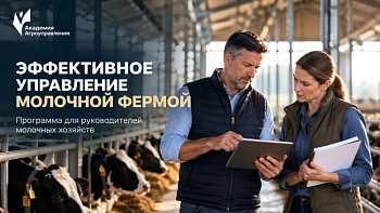 От производства к бизнесу