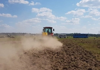 Сегодня отмечается "Международный день почв"