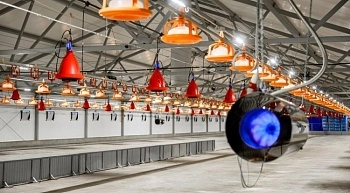 В Пензенской области началось строительство птицеводческого блока