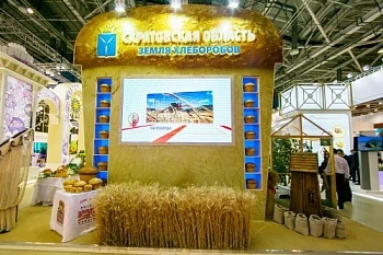 Саратовские деликатесы на «Золотой осени-2018»