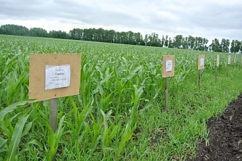 Более 2,3 миллиардов рублей  затратит холдинг «АГРОСИЛА» на проведение весенних полевых работ