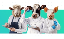 Геномная селекция занимает ключевое место в стратегических приоритетах страны