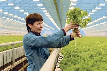 Цветы и овощи круглый год