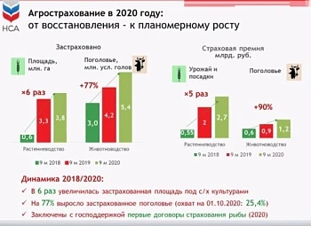 Агрострахование в СЗФО