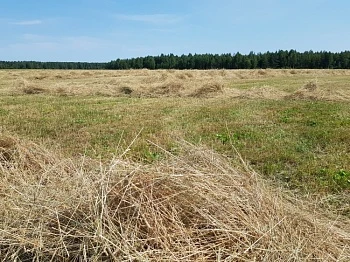 Землепользование стало более эффективным
