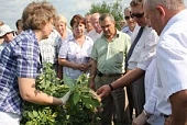 Сорт – основа получения урожая
