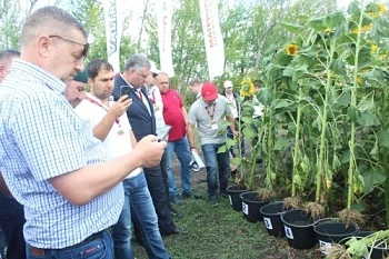 Абзелиловский район Башкортостана: От экспериментов — к обычной практике