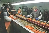 Делимся опытом: логистические оптово-распределительные центры