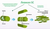 Где искать энергию?