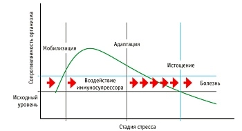Виды стресса у коров и методы повышения стрессоустойчивости