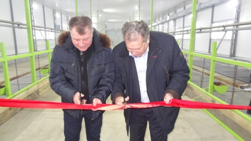 В Косихинском районе открыли новый животноводческий объект