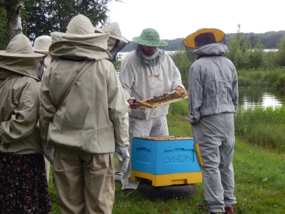 Вологодские пчеловоды «слетятся» в Тарногу