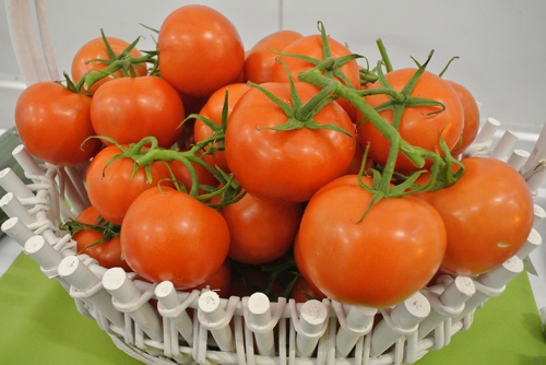 Объем поставок томатов из Турции предлагается увеличить