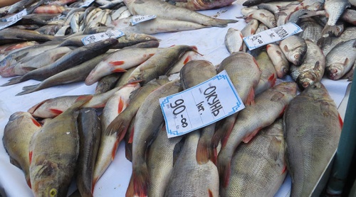 В России создадут сеть рыбных магазинов по доступным ценам