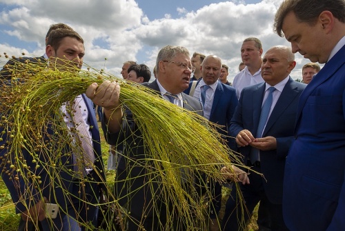 В Смоленской области прошел Всероссийский день льняного поля