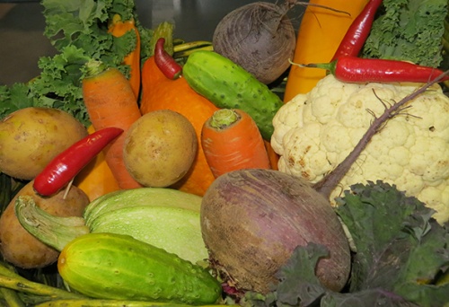 Итоги года 2016, картофель и овощи открытого грунта - морковь, капуста, лук, свекла