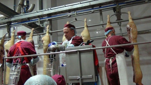 Новые сотрудники Курского мясоперерабатывающего завода прошли аттестацию