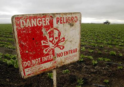 Сельские жители, работающие с пестицидами, умирают в два раза чаще и на 7 лет раньше