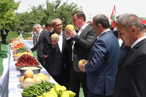 Дмитрий Патрушев провел рабочую встречу с президентом Таджикистана Эмомали Рахмоном