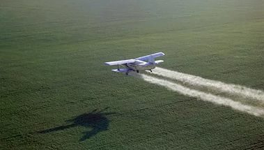 Продукты питания проверяют на пестициды, давно выведенные из сельхозоборота