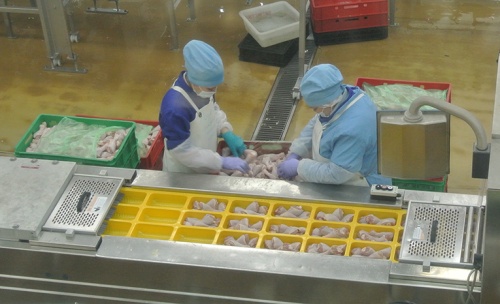 Холдинг «АГРОСИЛА» увеличивает объемы производства продукции из мяса птицы
