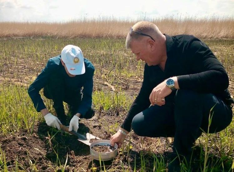 Наступил период борьбы с саранчовыми Наступил период борьбы с саранчовыми