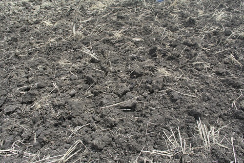 Белгородская область переходит на нулевую обработку почвы