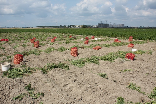 За 10 месяцев аграрии в 34 регионах РФ застраховали свой урожай