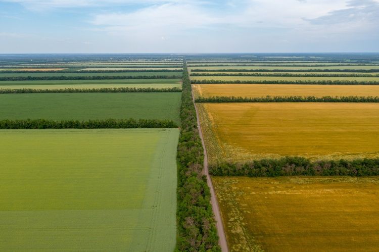 Агрохолдинг «СТЕПЬ» масштабирует работу по технологии No-Till Агрохолдинг «СТЕПЬ» масштабирует работу по технологии No-Till