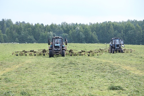 ООО «Ручьевское» заготовило ещё 18 тыс. тонн сенажа