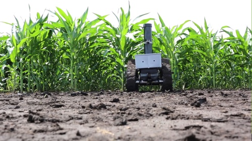 Сельскохозяйственный робот поможет растениеводам и селекционерам