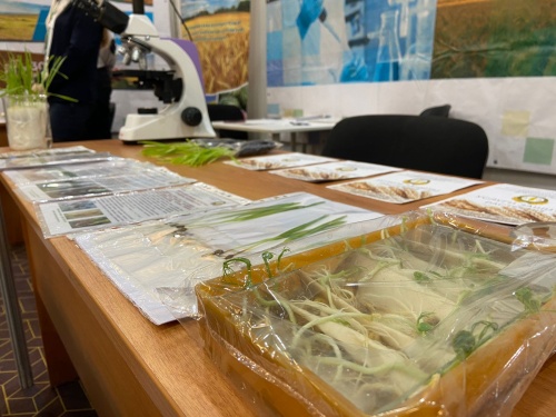 В Ростовской области обсудили потенциал для расширения рынка семян отечественной селекции
