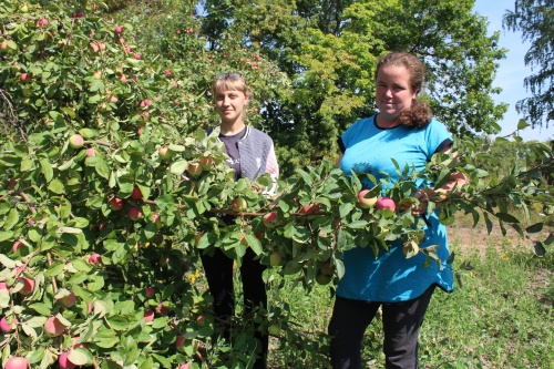 В Пензенской области за 5 лет грантовая поддержка оказана 199 фермерам