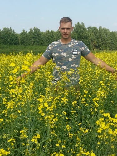 В России научились выращивать органический рапс