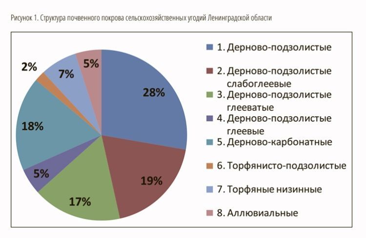 Такие разные почвы и земли