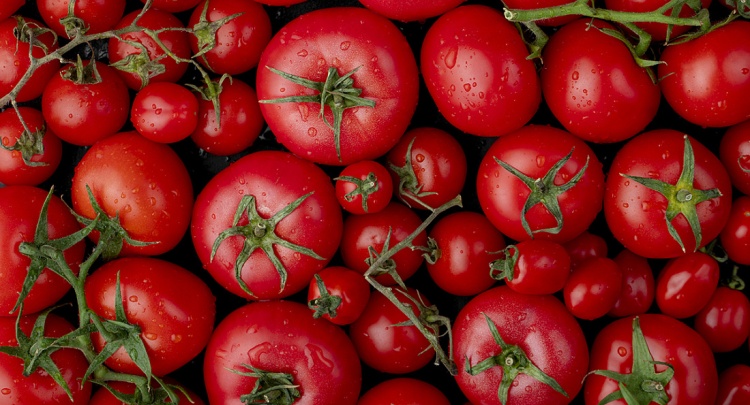 Как вырастить томаты на подоконнике?