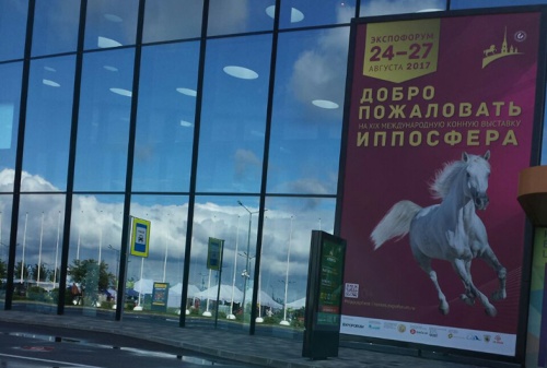 В Петербурге прошло конное шоу «Иппосфера»