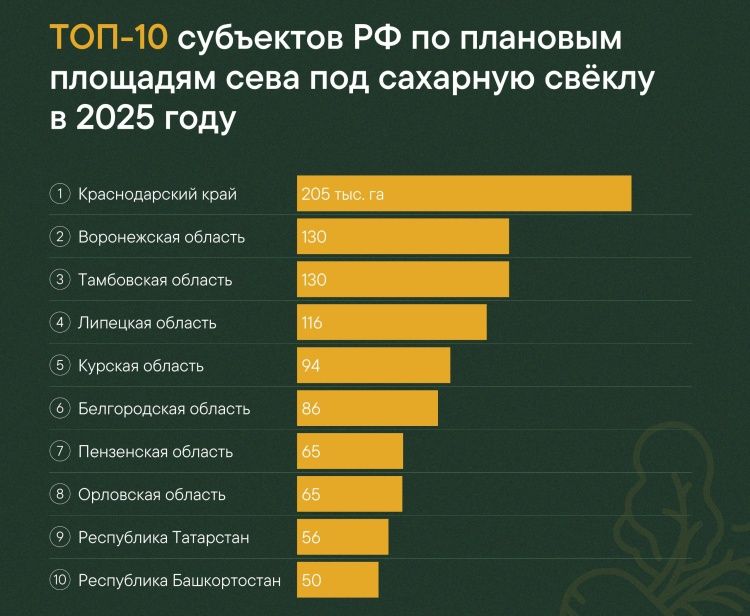 Аграрии засеяли треть запланированных под сахарную свеклу площадей Аграрии засеяли треть запланированных под сахарную свеклу площадей