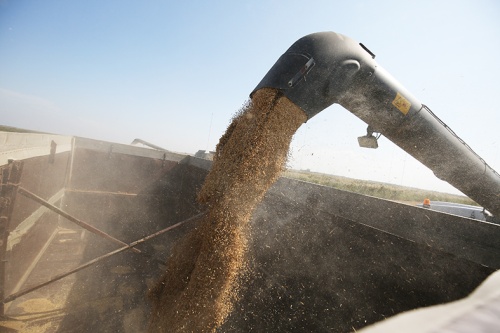 На мировом рынке сформировались благоприятные условия для наращивания экспорта российского риса