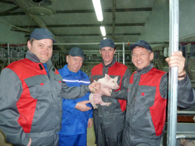 Открыт стотысячный свинокомплекс в Курской области