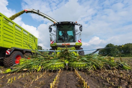 CLAAS обновил жатку ORBIS для уборки кукурузы