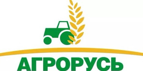 100 тонн меда привезут в Петербург на ярмарку «Агрорусь»