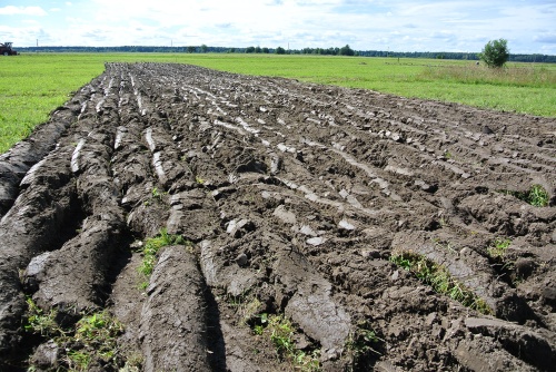 14-летнее исследование французских ученых доказало благоприятное воздействие органического сельского хозяйства на почву