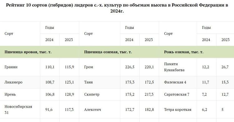 Самые востребованные сорта и гибриды по объемам высева в РФ в 2024 году